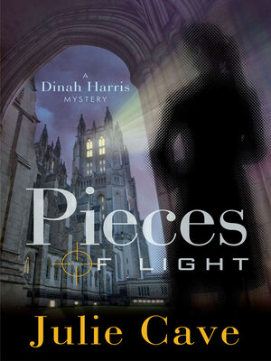 Pieces of Light - ebook